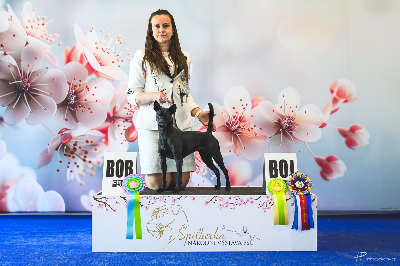 Aiga Leimonte with her Taiwan Dog, Meilin, at a dog show